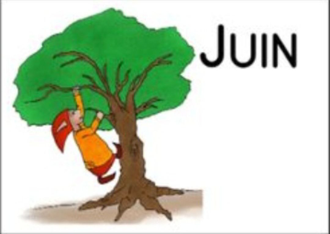 Fomation de Juin 2026