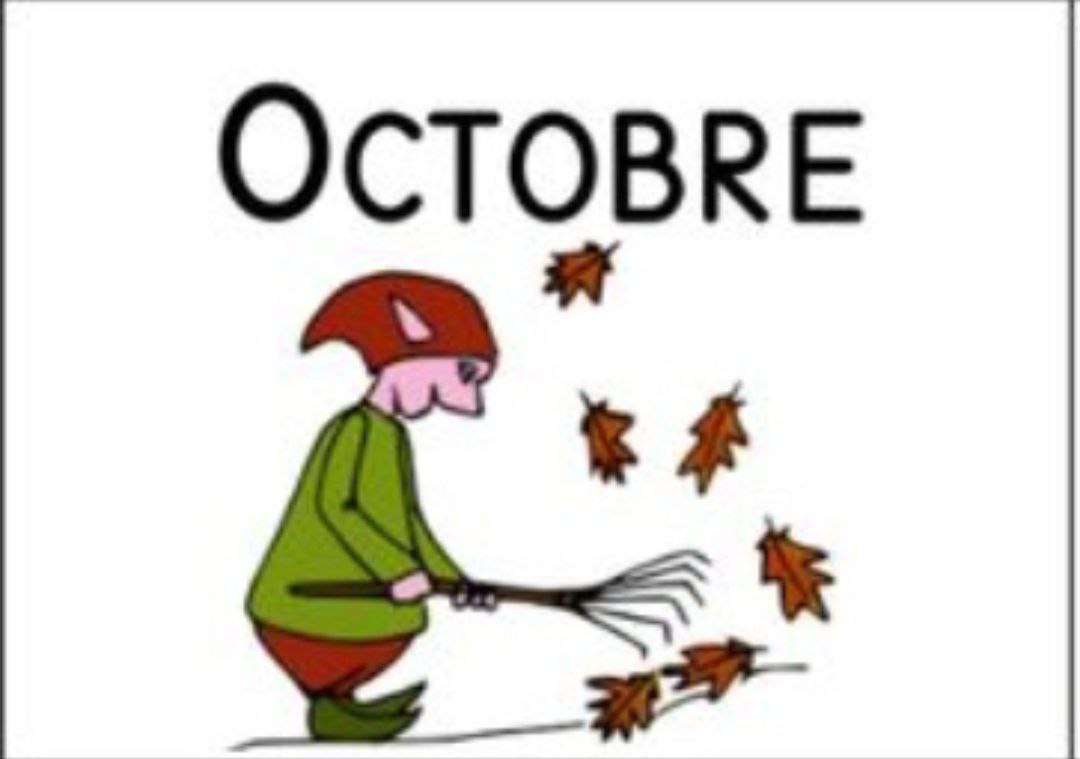 Fomation de Octobre 2025